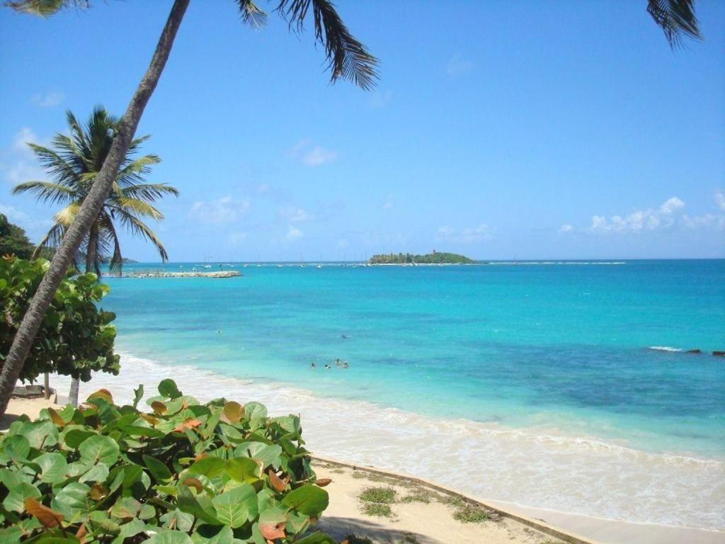 Ilet Bleu Studio Cosy Rdc Vue Mer Et Jardin - Acces Direct Plage เลอโกซิเยร์ ภายนอก รูปภาพ