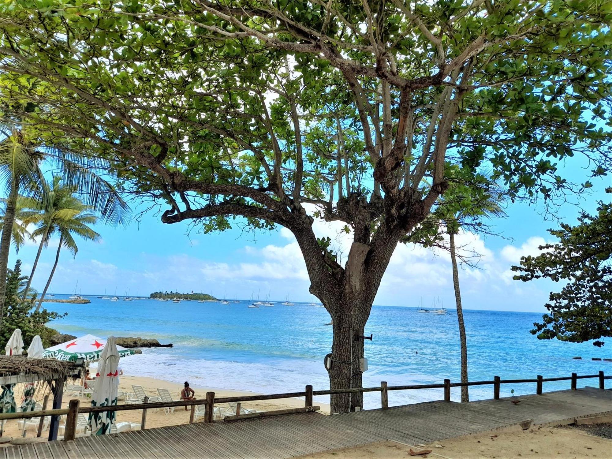Ilet Bleu Studio Cosy Rdc Vue Mer Et Jardin - Acces Direct Plage เลอโกซิเยร์ ภายนอก รูปภาพ