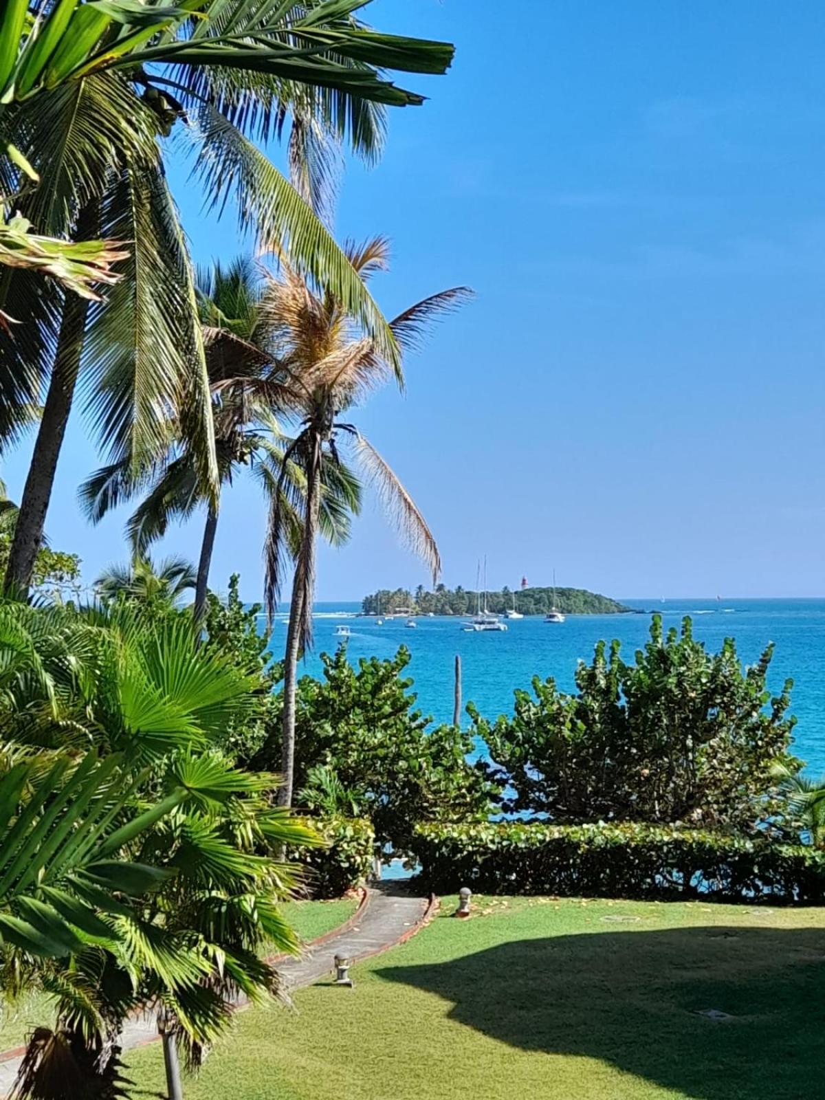 Ilet Bleu Studio Cosy Rdc Vue Mer Et Jardin - Acces Direct Plage เลอโกซิเยร์ ภายนอก รูปภาพ